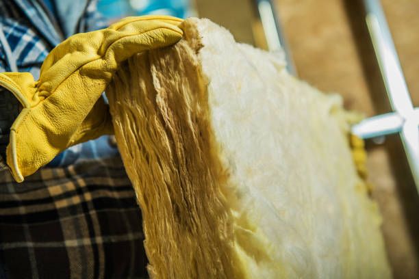 Insulation Inspection Services in Salem Lakes, WI